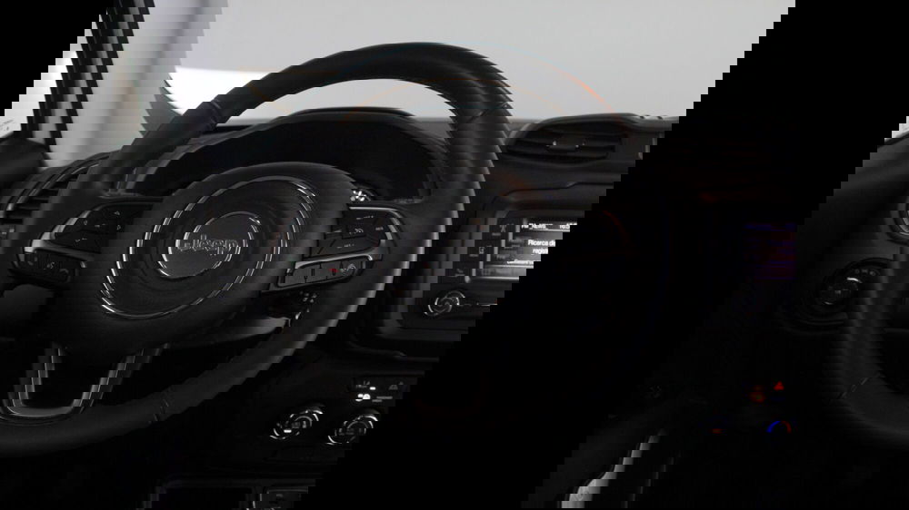 Jeep Renegade usata a Palermo (15)