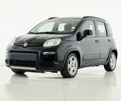 Fiat Panda 1.0 FireFly S&amp;S Hybrid City Cross del 2023 usata a Bastia Umbra