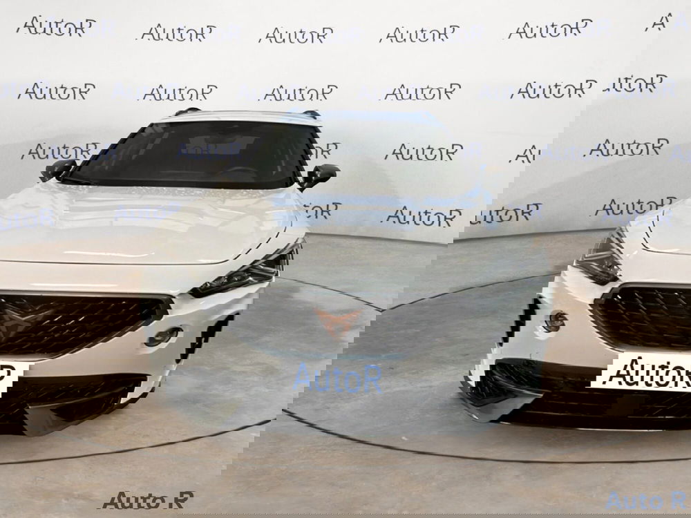 Cupra Formentor usata a Potenza (2)