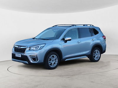 Subaru Forester 2.0 e-Boxer MHEV CVT Lineartronic Style del 2020 usata a Cuneo