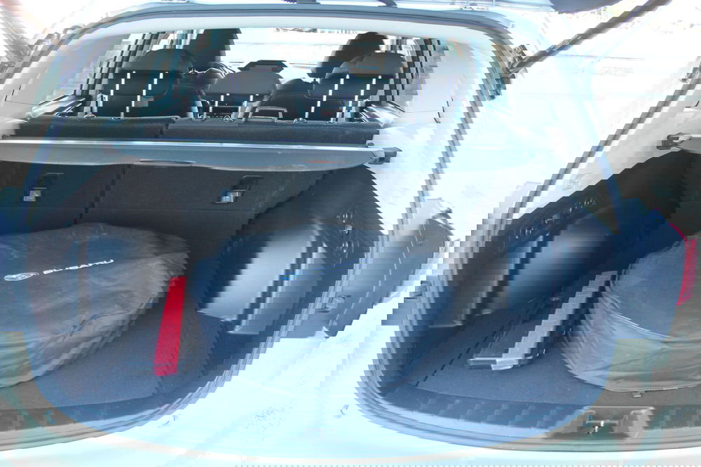 Subaru Forester usata a Cuneo (14)