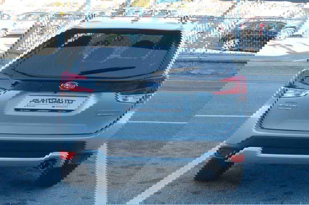 Subaru Forester usata a Cuneo (5)