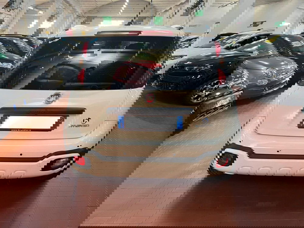 Fiat Panda Cross usata a Lucca (6)