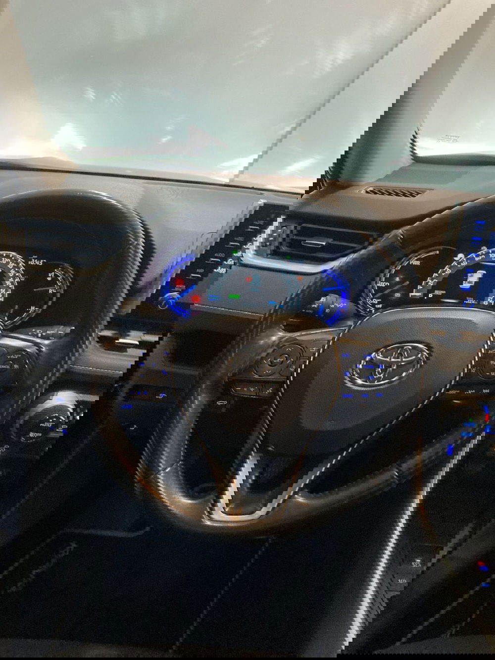 Toyota Rav4 usata a Barletta-Andria-Trani (10)