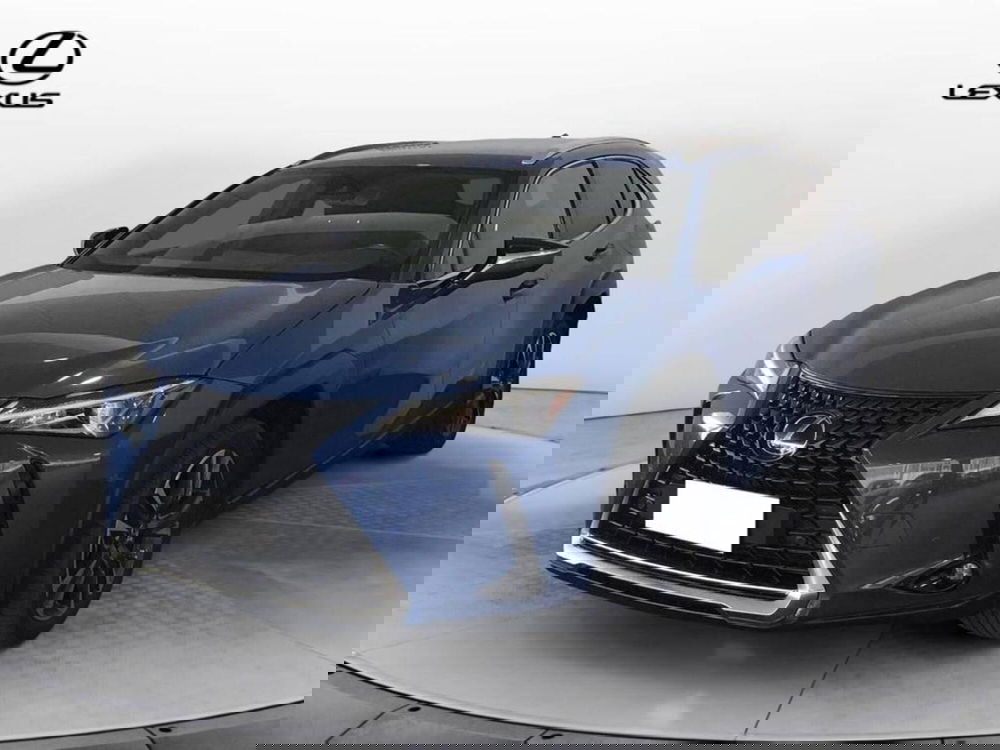 Lexus UX usata a Torino