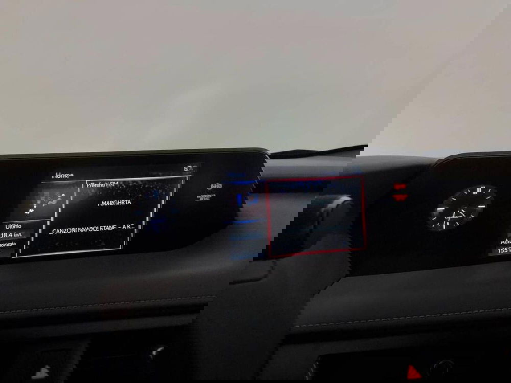 Lexus UX usata a Torino (14)