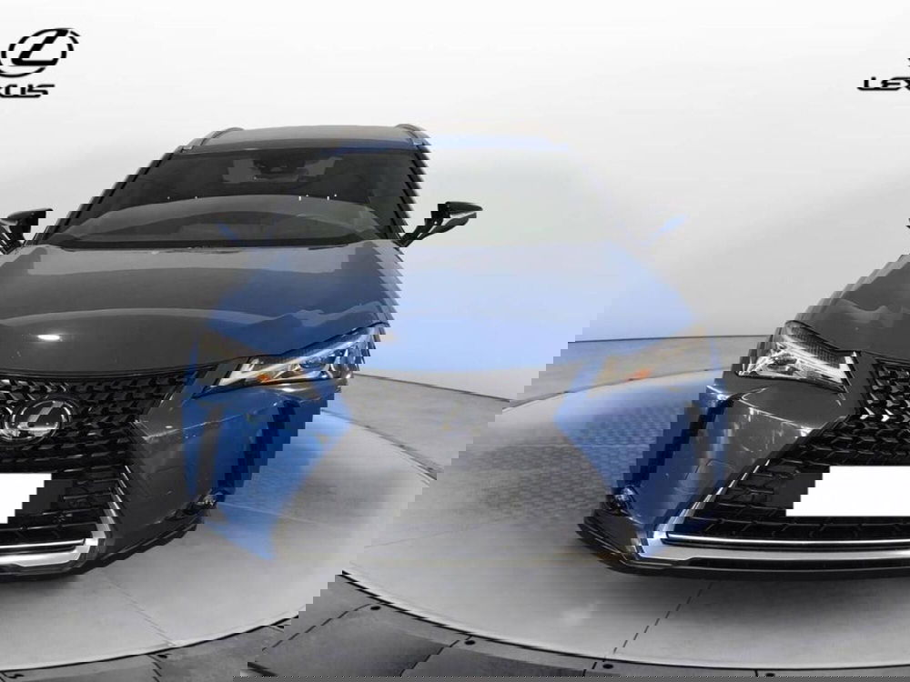 Lexus UX usata a Torino (2)