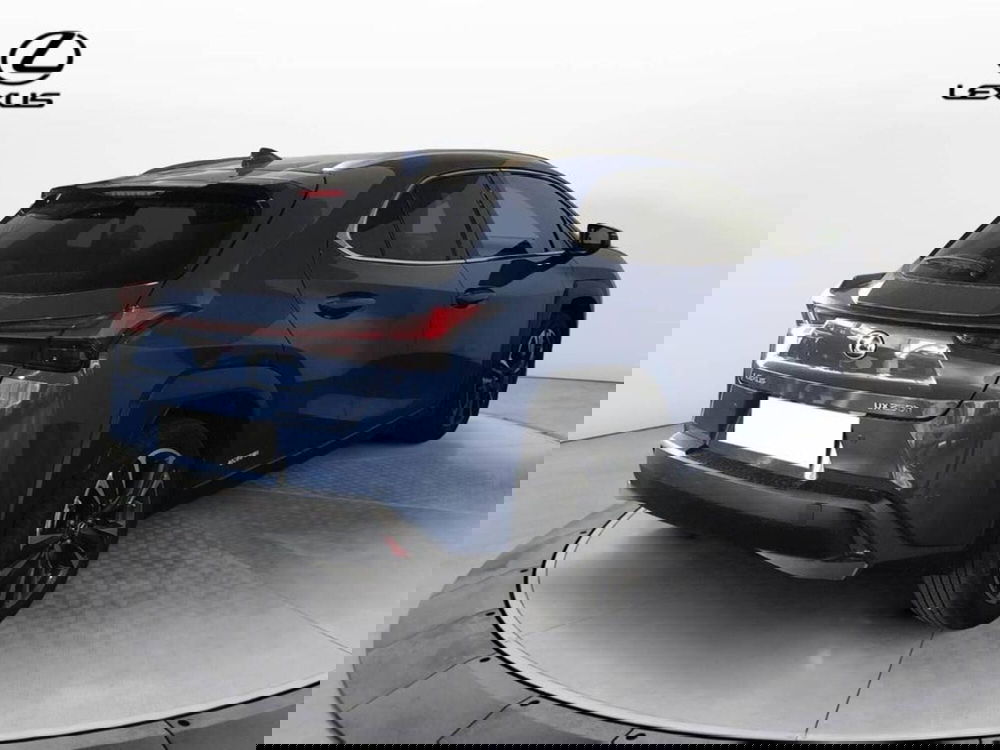 Lexus UX usata a Torino (4)