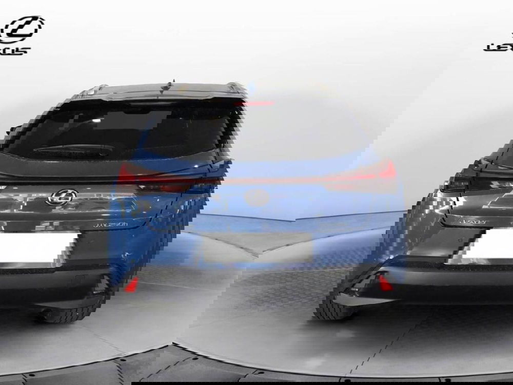 Lexus UX usata a Torino (5)