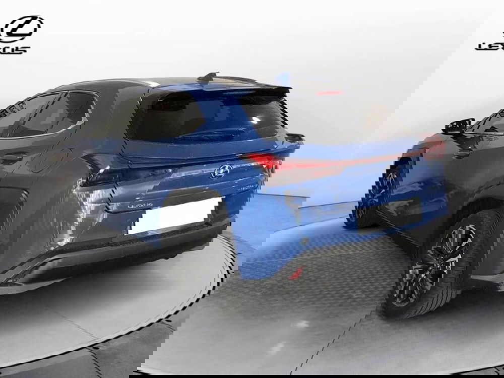 Lexus UX usata a Torino (6)