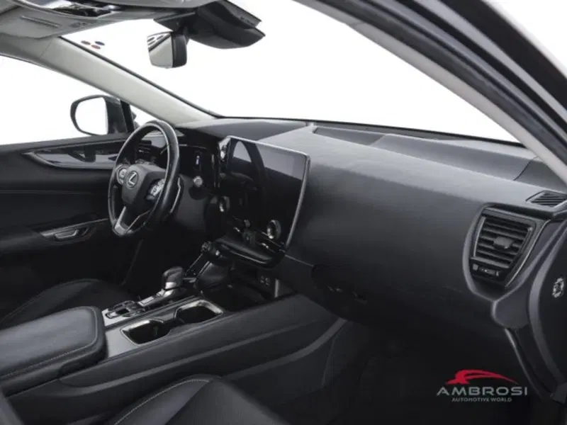Lexus NX usata a Perugia (12)