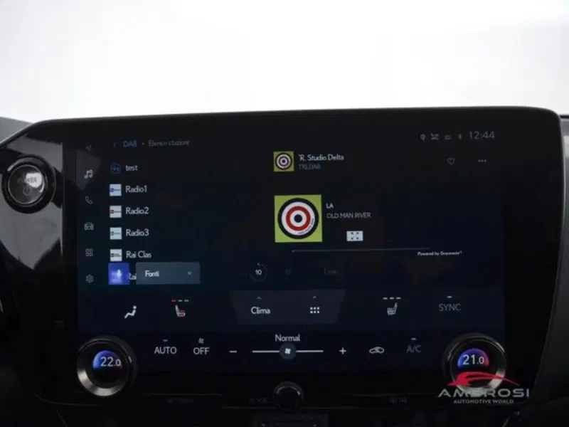 Lexus NX usata a Perugia (14)