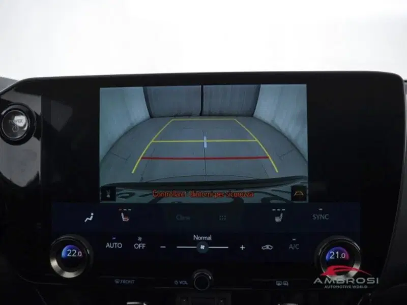 Lexus NX usata a Perugia (15)