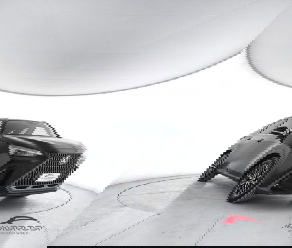 Lexus NX usata a Perugia (2)