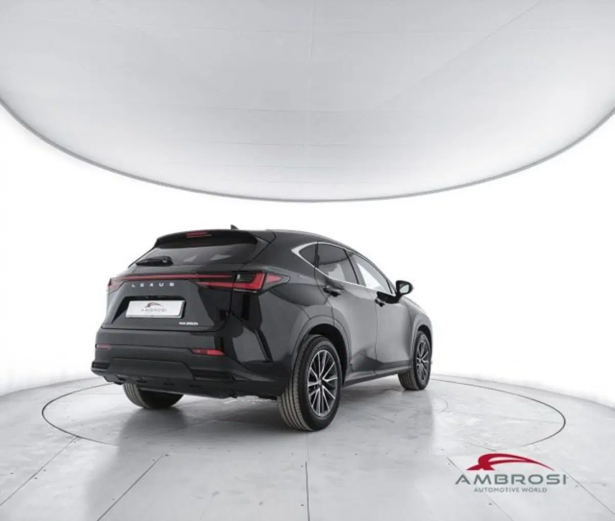Lexus NX usata a Perugia (3)