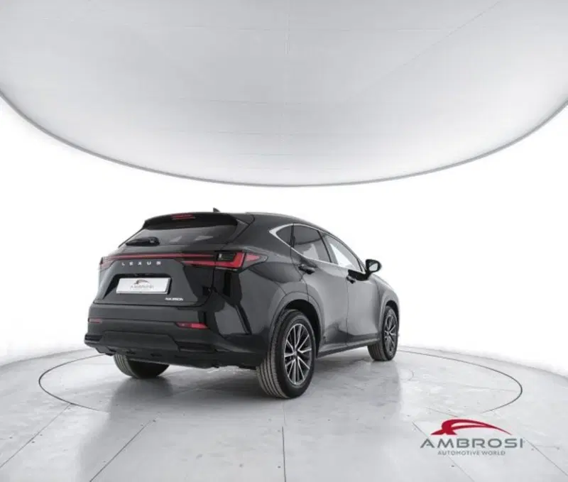Lexus NX usata a Perugia (3)