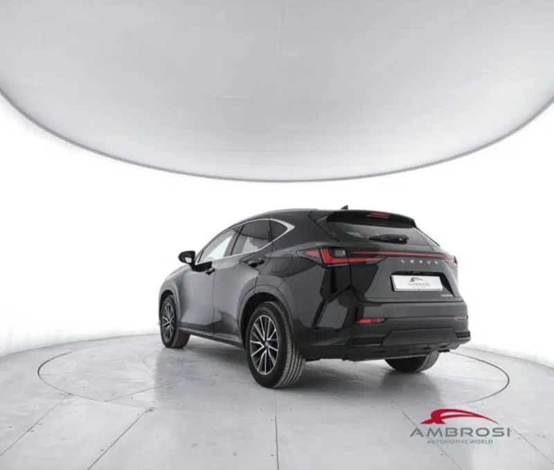 Lexus NX usata a Perugia (4)