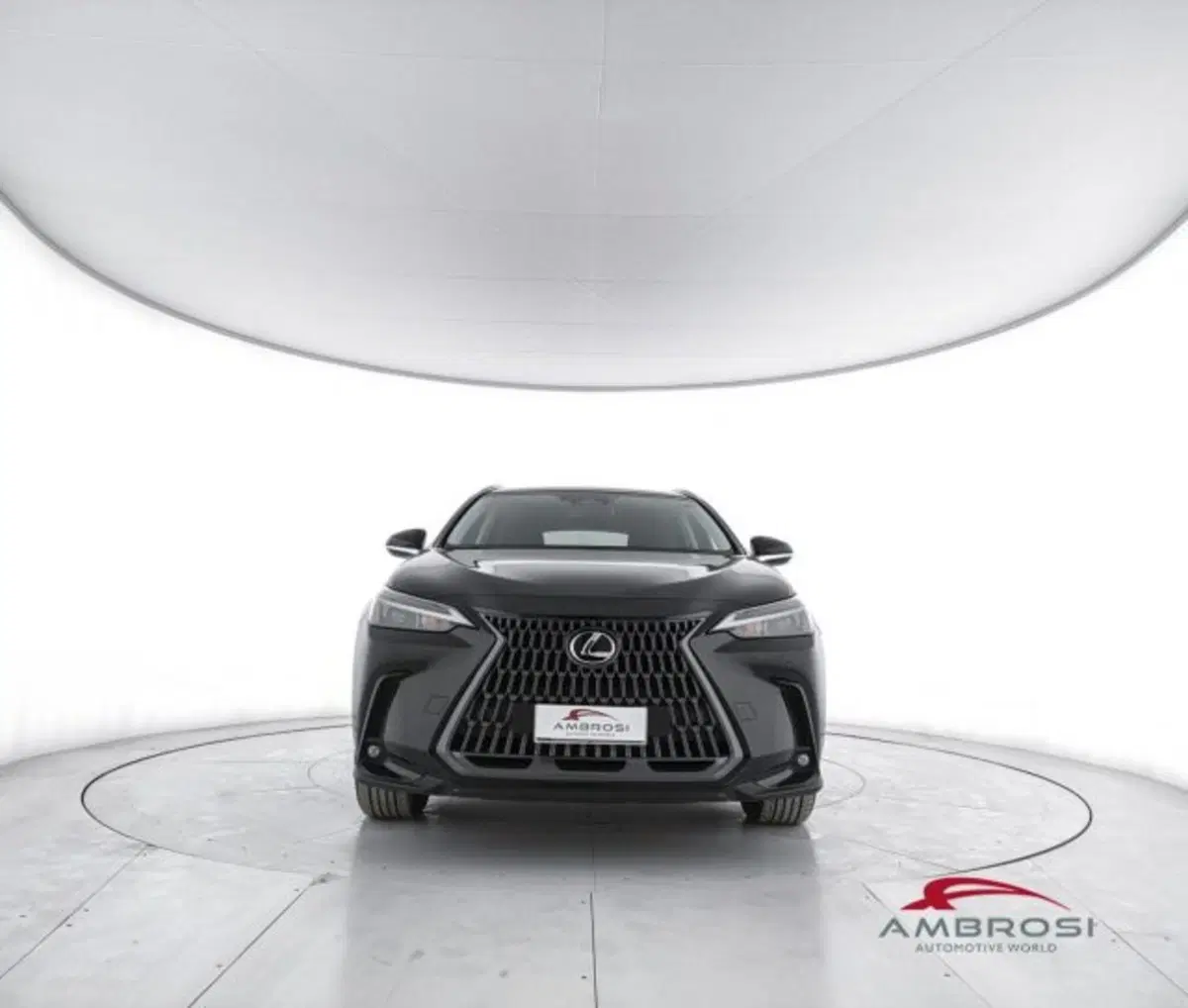 Lexus NX usata a Perugia (5)