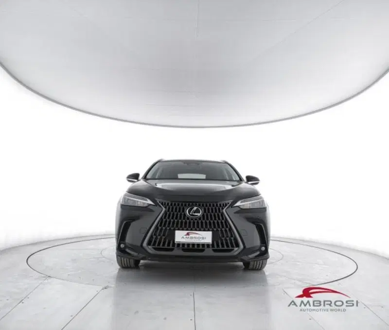 Lexus NX usata a Perugia (5)