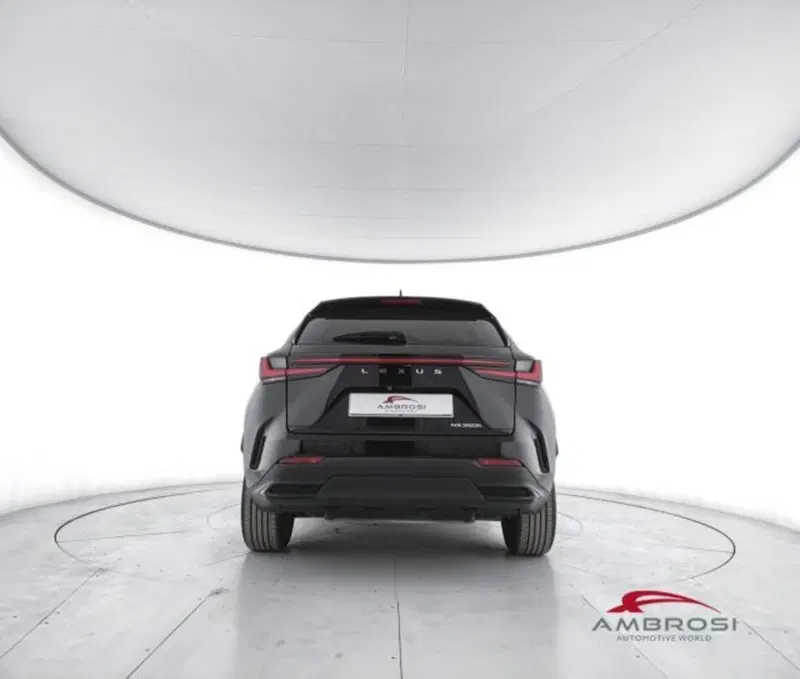 Lexus NX usata a Perugia (6)