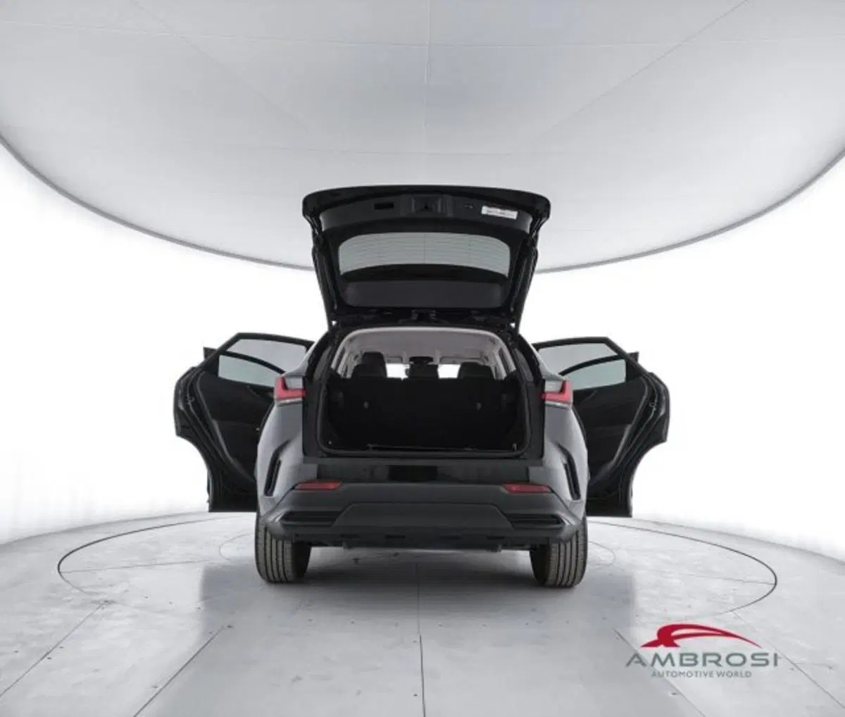 Lexus NX usata a Perugia (7)