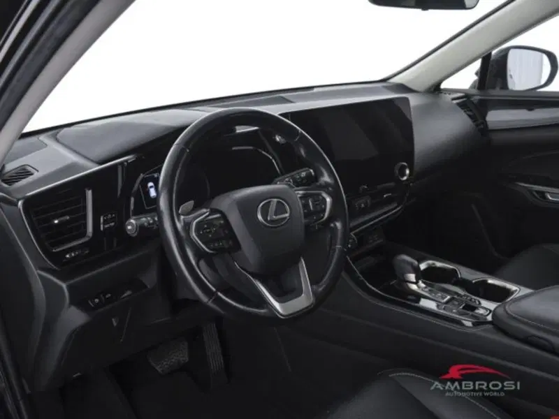 Lexus NX usata a Perugia (8)