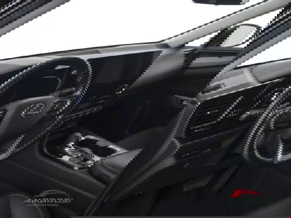 Lexus NX usata a Perugia (8)