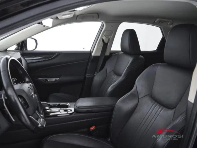 Lexus NX usata a Perugia (9)