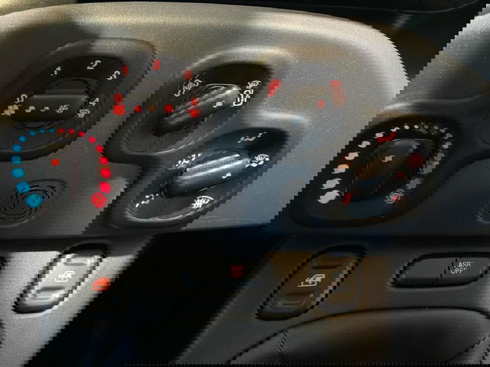 Fiat Panda Cross usata a Torino (11)