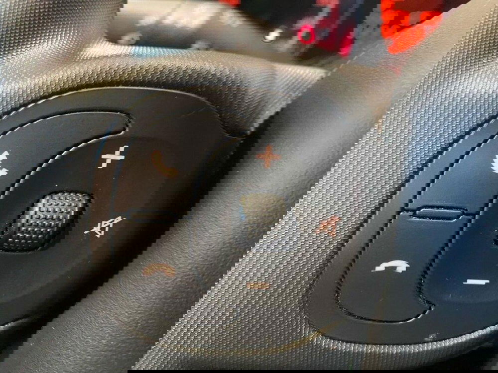 Fiat Panda Cross usata a Torino (13)