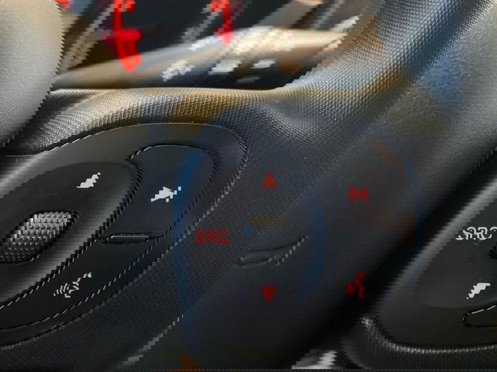 Fiat Panda Cross usata a Torino (14)