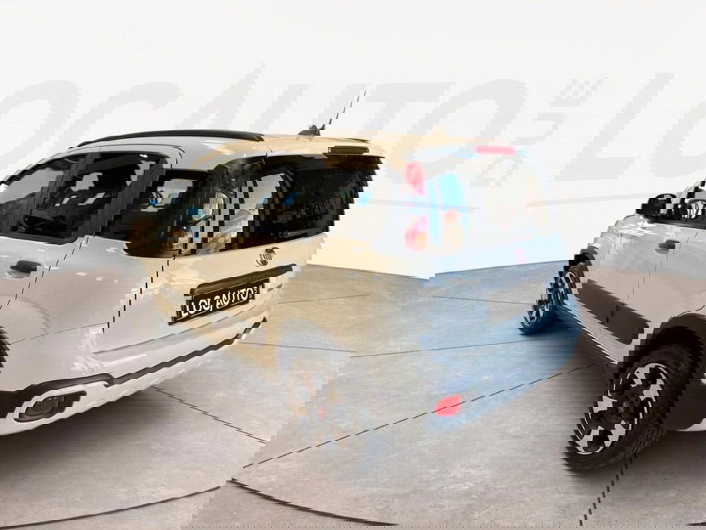 Fiat Panda Cross usata a Torino (5)