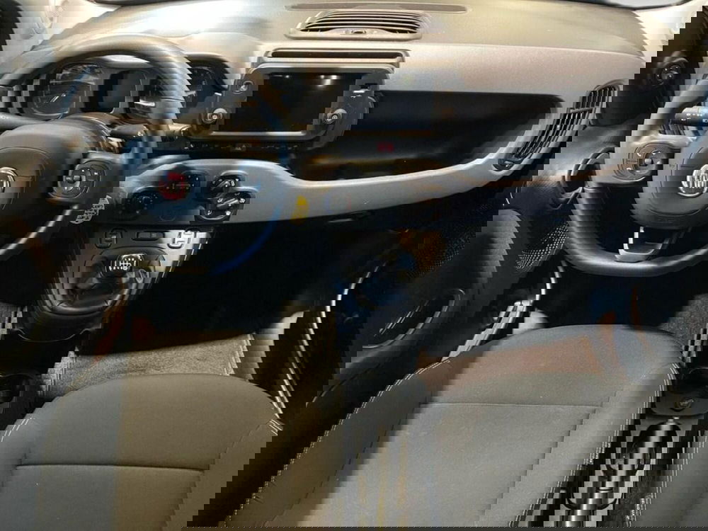 Fiat Panda Cross usata a Torino (6)