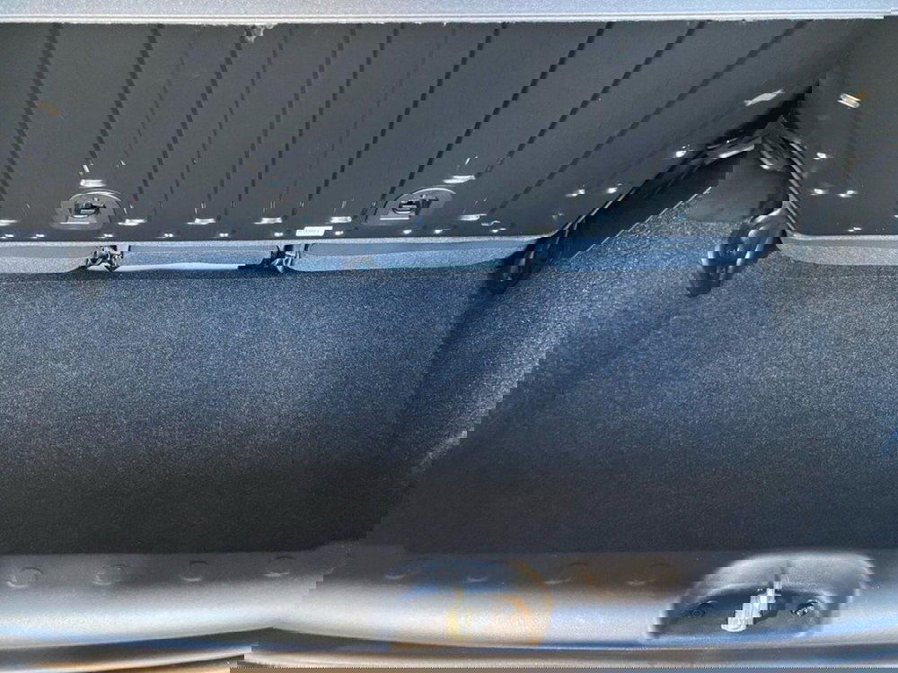 Fiat Panda Cross usata a Torino (9)