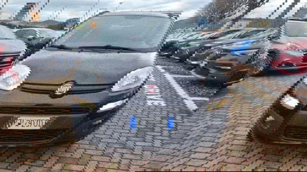 Fiat Panda usata a Savona