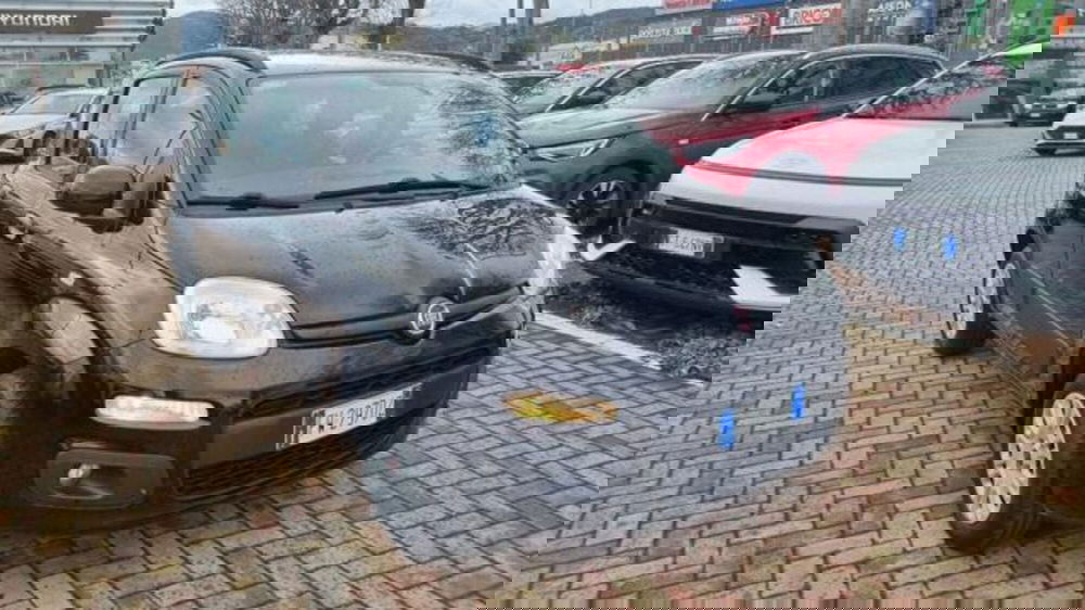 Fiat Panda usata a Savona (2)