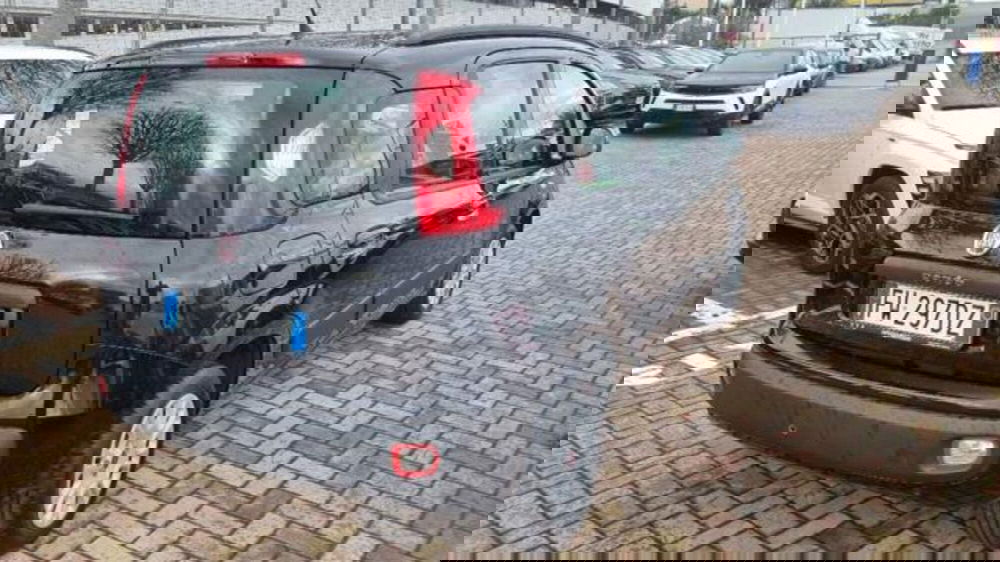 Fiat Panda usata a Savona (20)