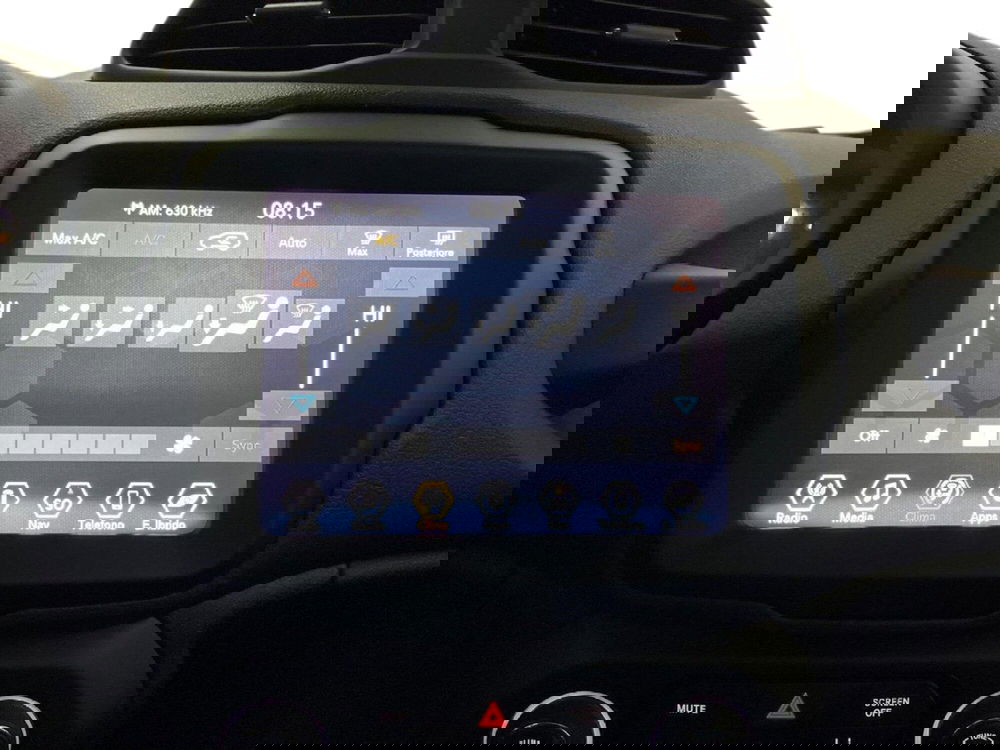 Jeep Renegade usata a Torino (12)