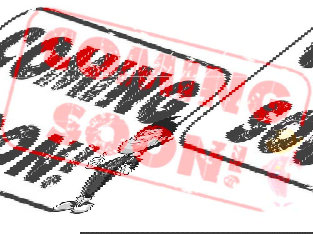 Fiat Panda usata a Bergamo