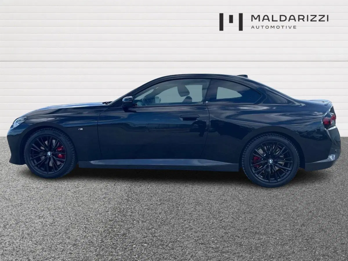 BMW Serie 2 Coupé usata a Bari (5)