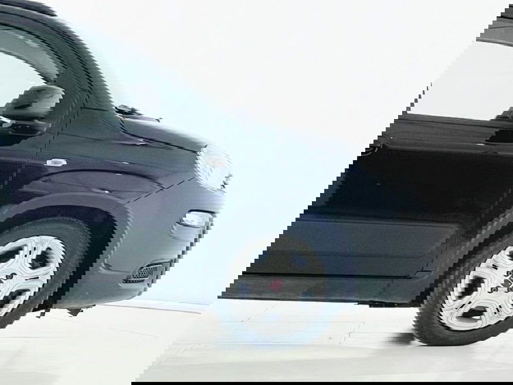 Fiat Panda usata a Perugia (5)