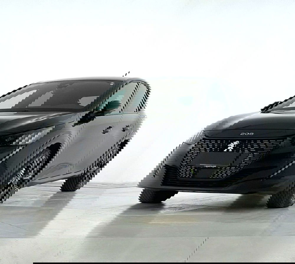 Peugeot 208 usata a Perugia