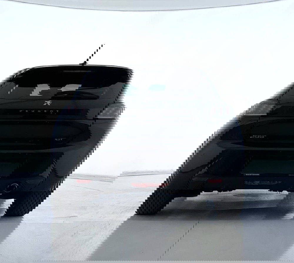 Peugeot 208 usata a Perugia (2)