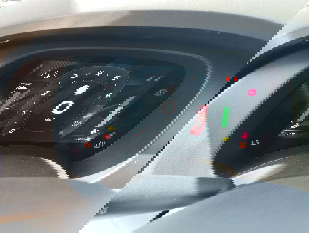 Fiat Panda Cross nuova a Frosinone (14)