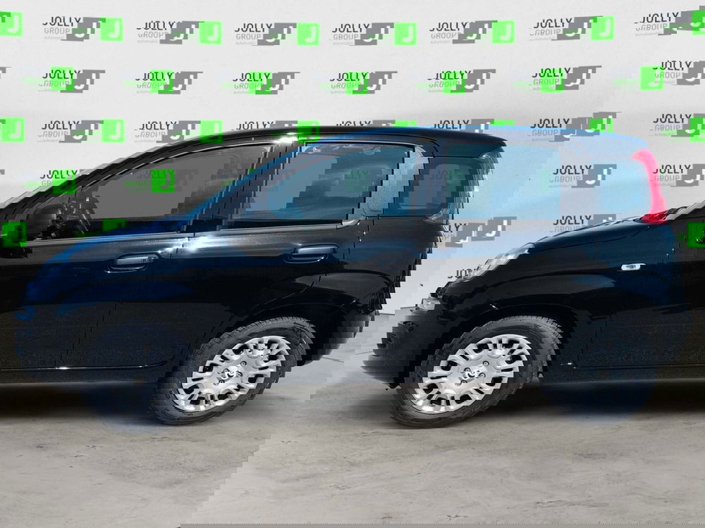 Fiat Panda Cross nuova a Frosinone (3)