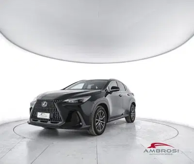 Lexus NX 350h 2.5 Luxury 4wd e-cvt del 2022 usata a Corciano