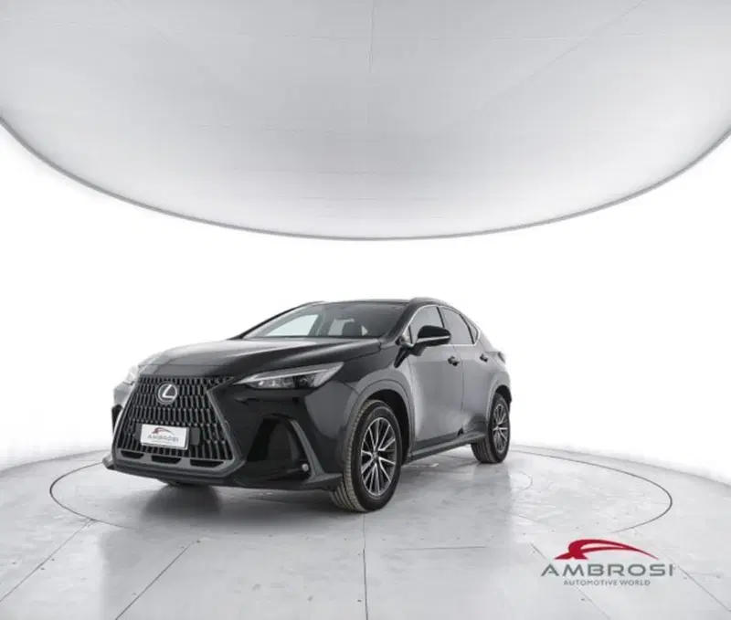 Lexus NX usata a Perugia