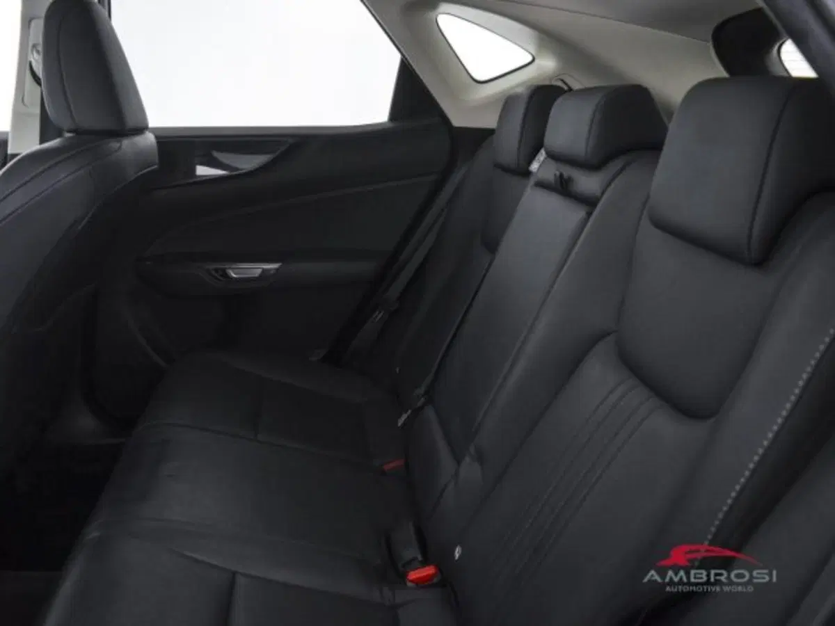 Lexus NX usata a Perugia (10)