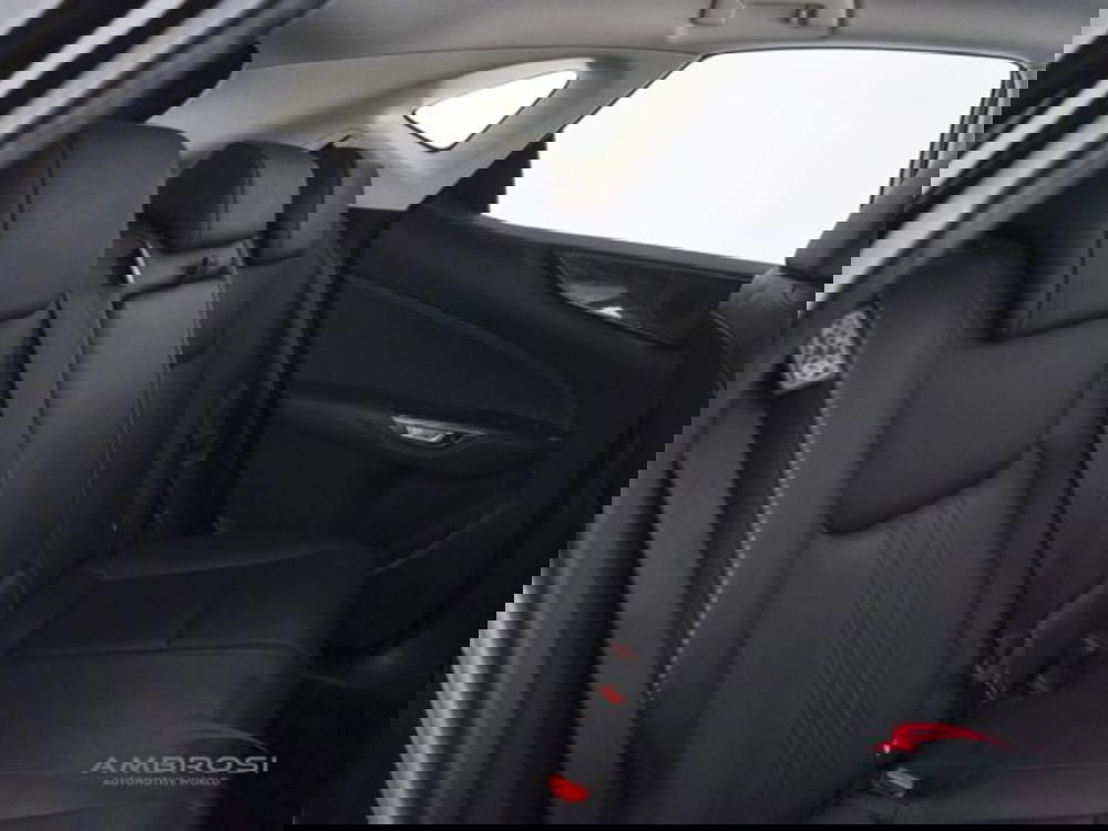 Lexus NX usata a Perugia (11)