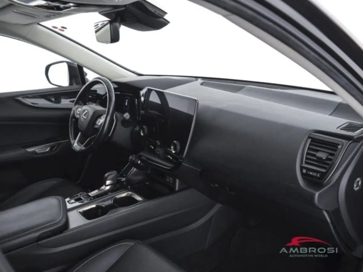 Lexus NX usata a Perugia (12)